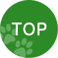 pagetop