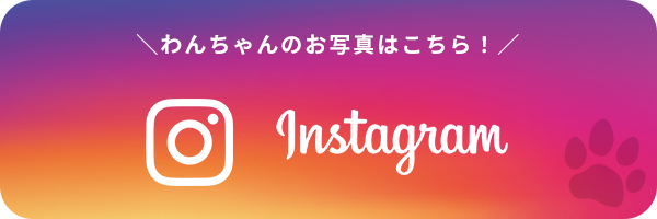 公式Instagram