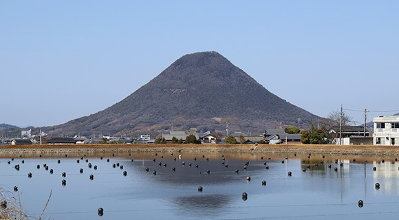 美しい景色