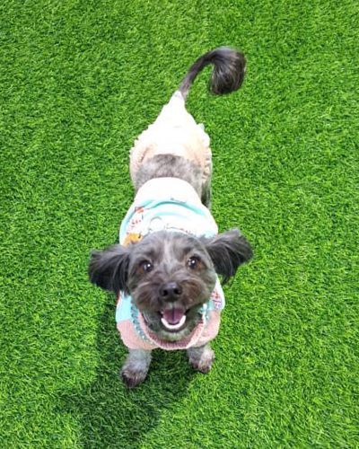 area ONE(エリアワン)