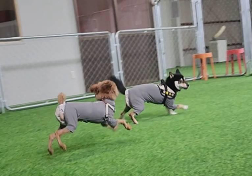 area ONE(エリアワン)